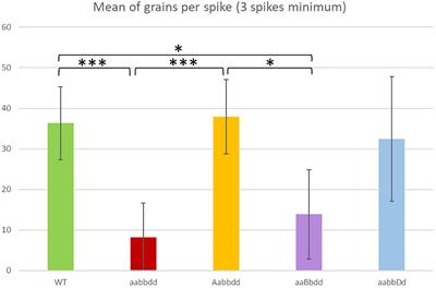 TaRECQ4 contributes to maintain both homologous and homoeologous recombination during wheat meiosis